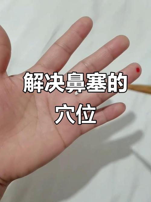 鼻子流血按哪个穴位