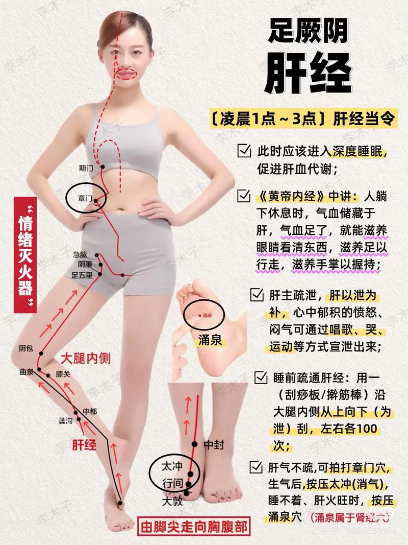 那个穴位是调理肝脏