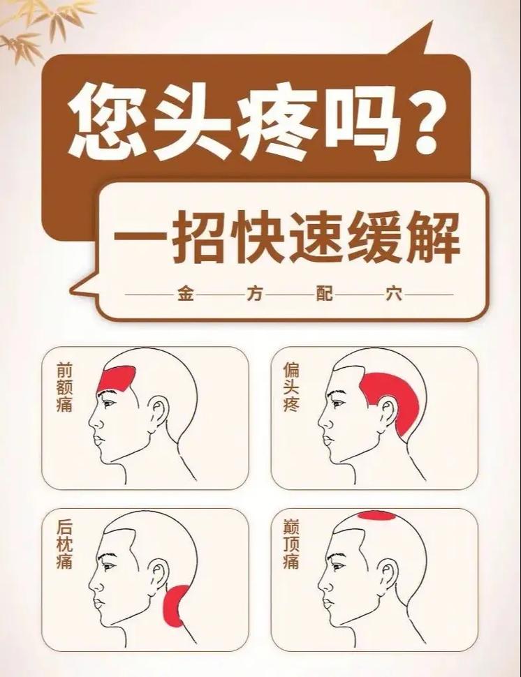 头疼按哪个穴位止疼