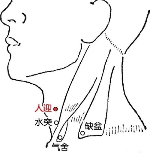喉咙下边是什么穴位