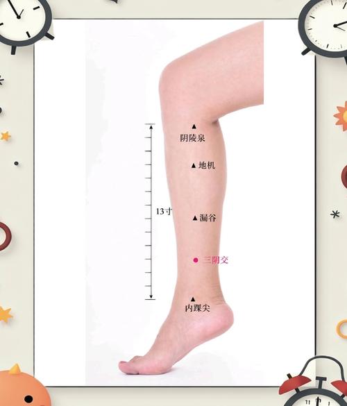 中医穴位治不孕不育