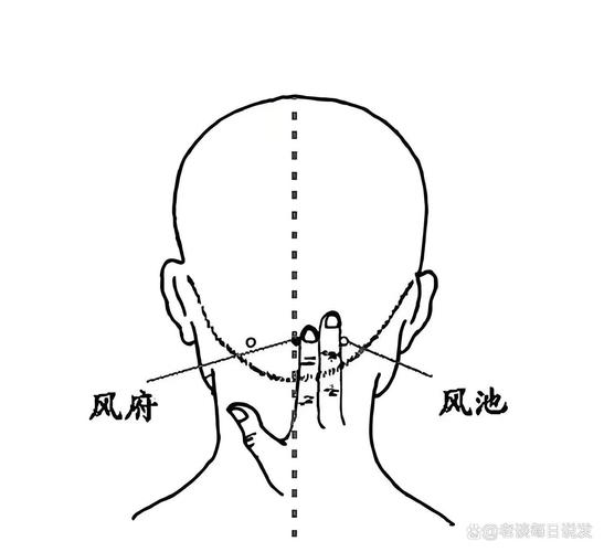按摩哪个穴位生头发
