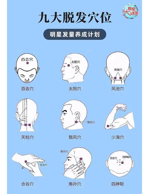 按摩哪个穴位生头发