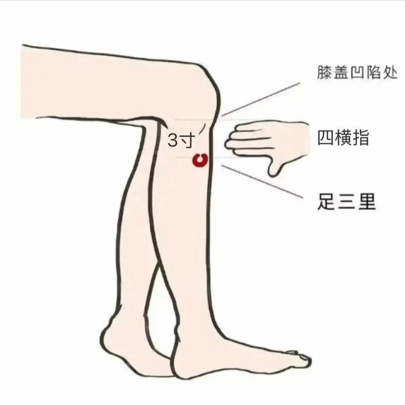穴位 足三里 小孩