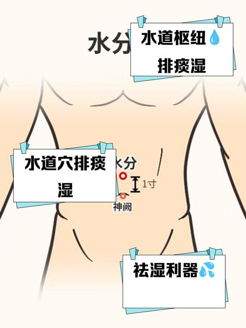 人体水分穴位于哪里