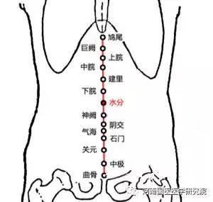 人体水分穴位于哪里