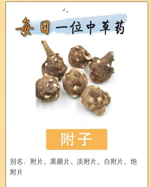 附子能吃好风寒风湿吗