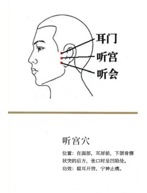 子宫对应耳朵的穴位