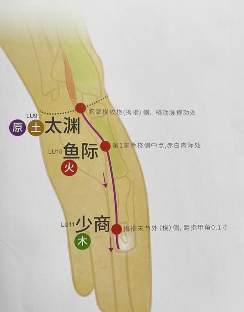 少商穴 太渊穴位置
