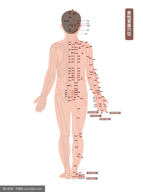 微电流 对人体穴位