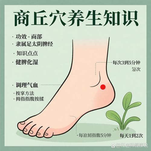 脚踝冷按摩哪个穴位