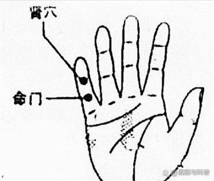 小拇指都有什么穴位