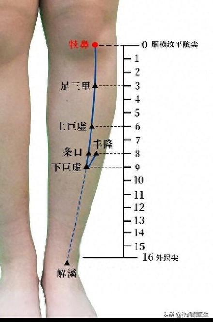 大腿侧边有什么穴位