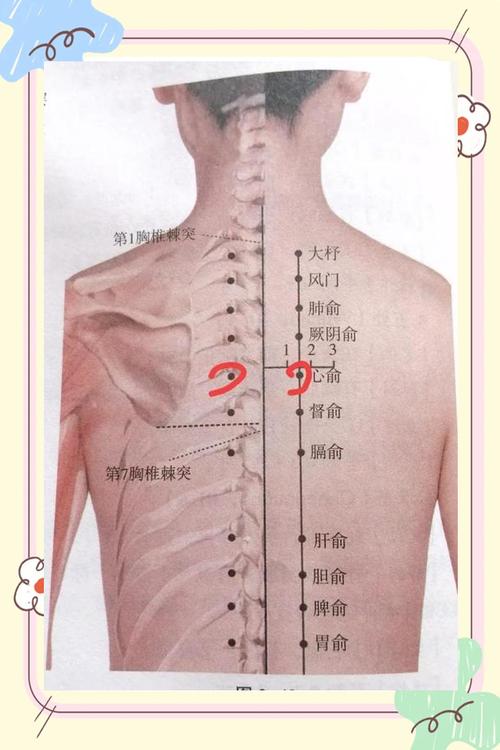 心俞穴属于什么穴位