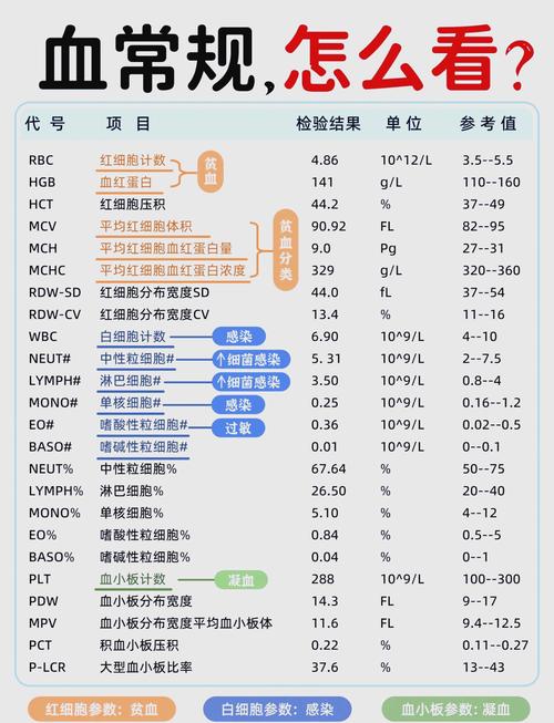 风湿免疫科查血多少钱