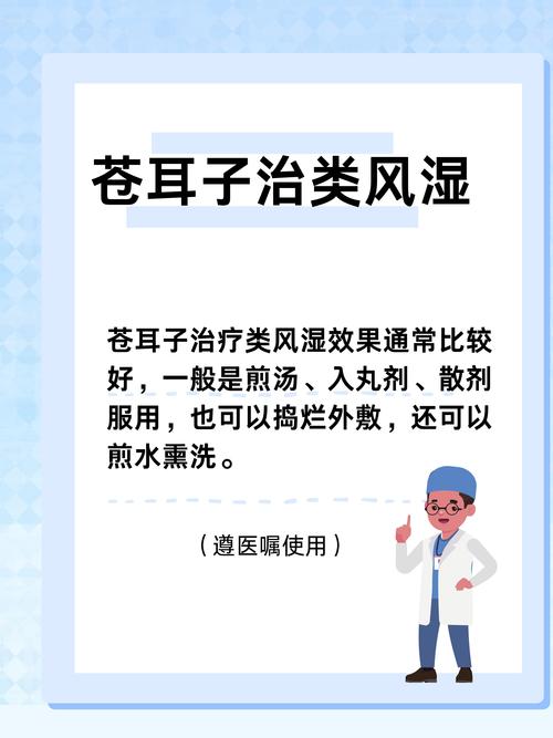 苍耳子怎么用治疗风湿