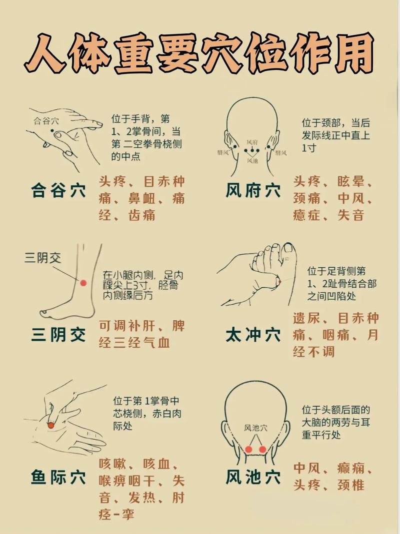 怎样记住人体的穴位