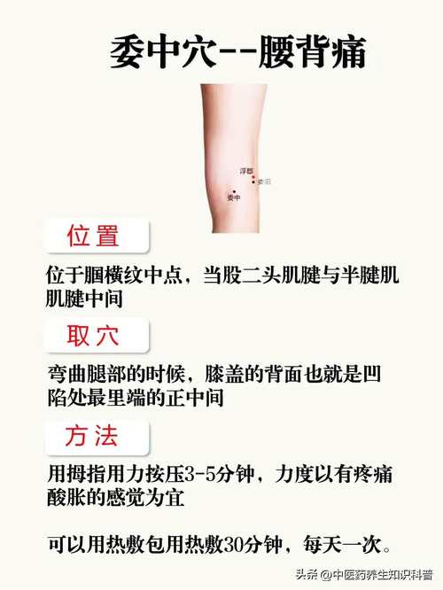 膝盖穴位图 环跳穴