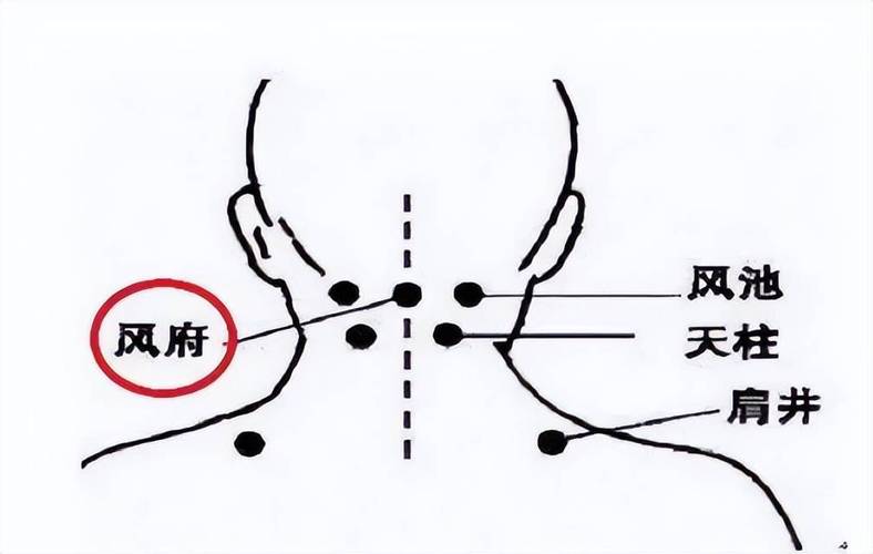 怀孕感冒灸什么穴位