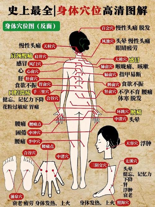 人体全身有多个穴位