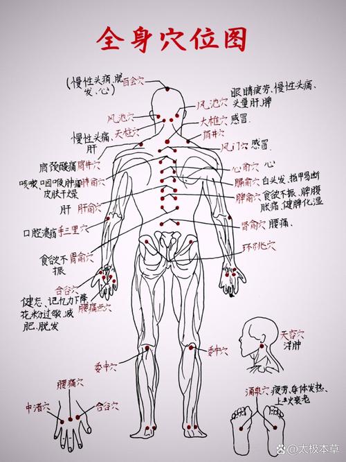 人体全身有多个穴位