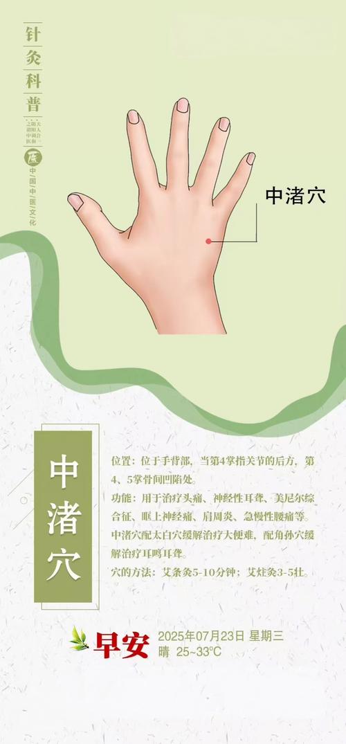 增长智慧按哪个穴位