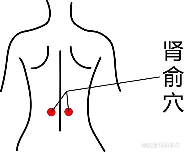腰肌劳损灸哪个穴位