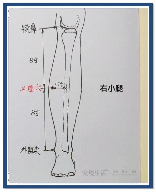 点按丰隆和天枢穴位