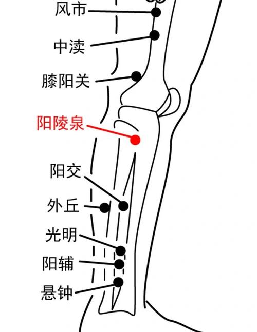 尿酸高调理那个穴位