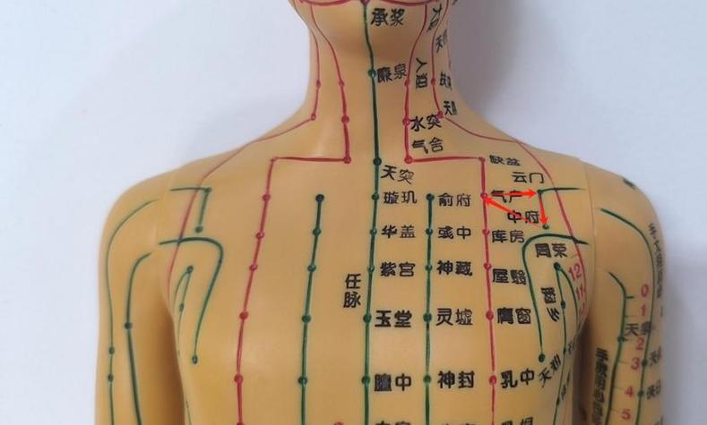 锁骨附近有什么穴位