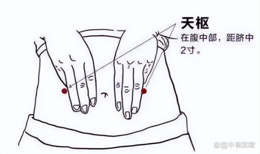 乳房乳腺疏通穴位图