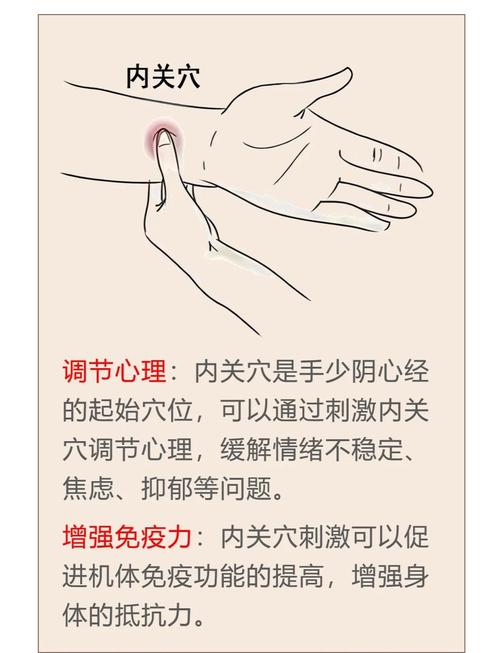 按摩哪个穴位管心脏