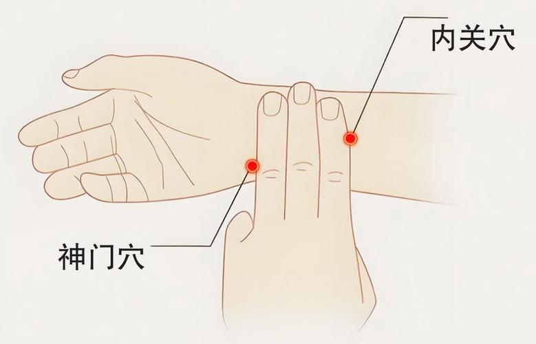 按摩哪个穴位管心脏