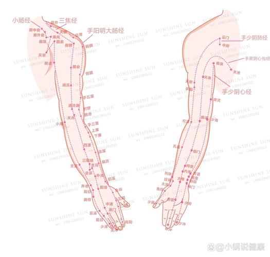 手臂酸痛针灸穴位图