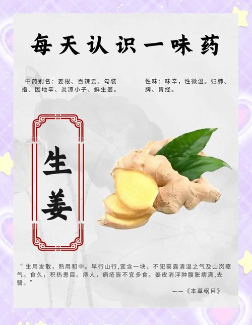 生姜煮水能治类风湿吗
