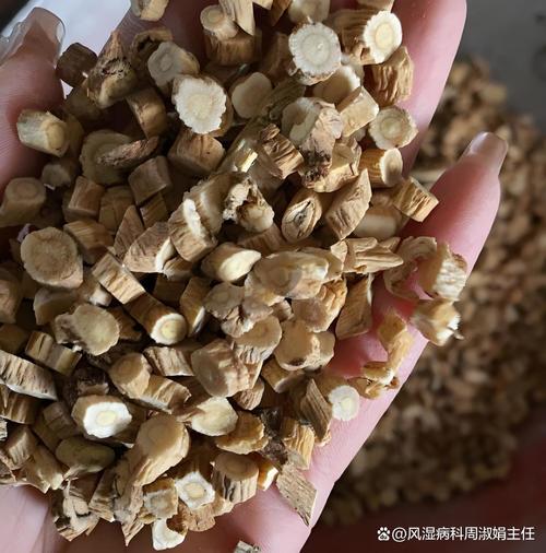 类风湿适合吃什么中药