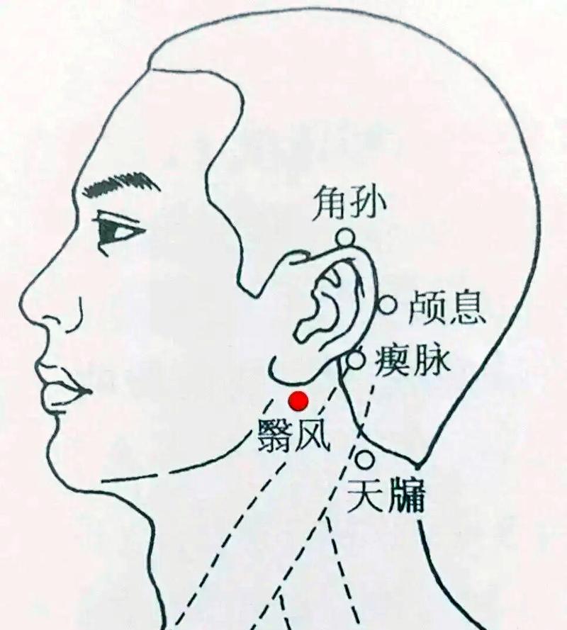 耳后失去味觉的穴位