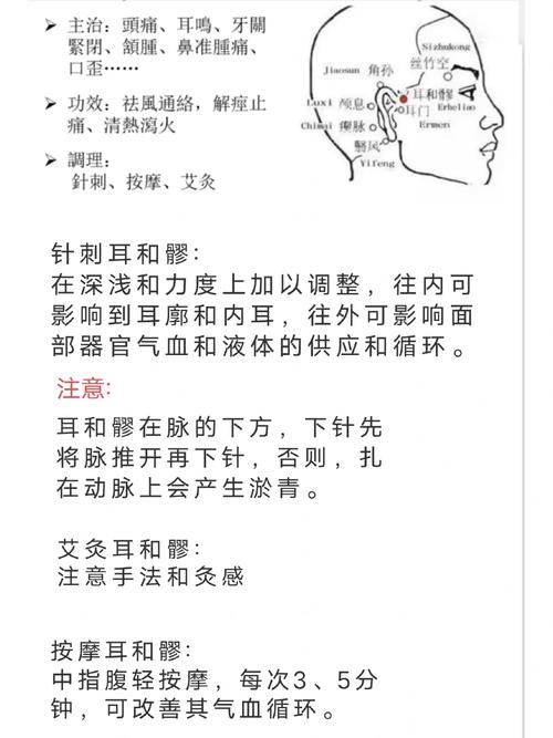 耳朵下边叫什么穴位