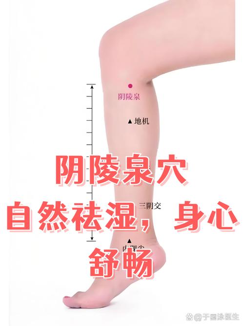 穴位阴陵泉痛什么病