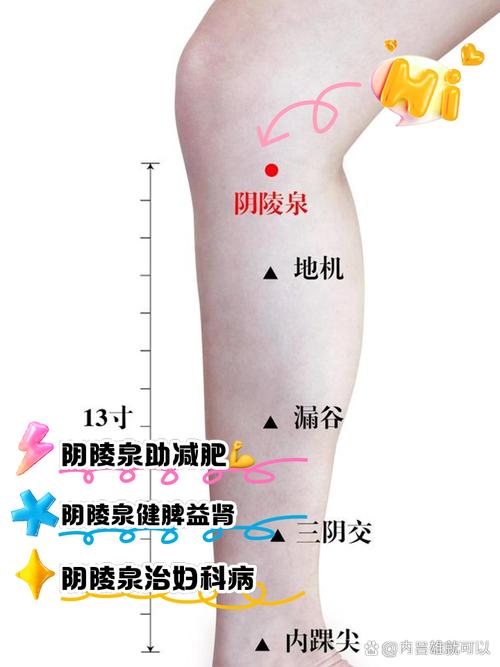 穴位阴陵泉痛什么病