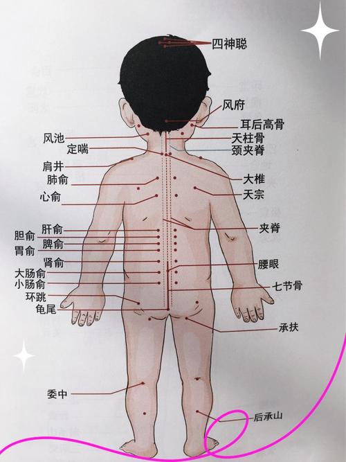幼儿按摩背部穴位图