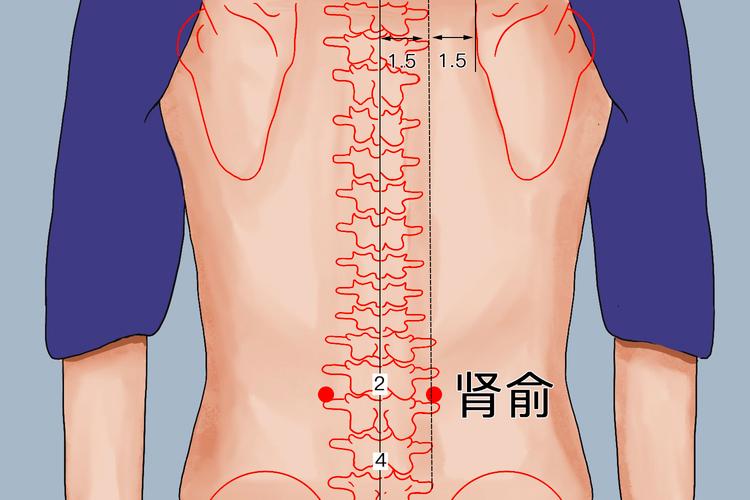 右侧腰疼按什么穴位