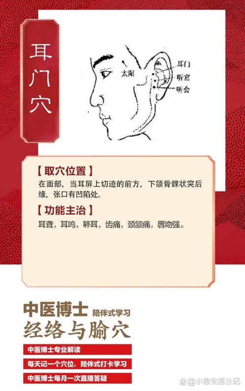 耳部神门穴位定位图