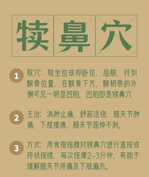 鼻孔下方的穴位名称