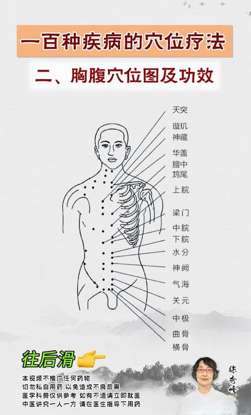 拼音人体穴位查询表