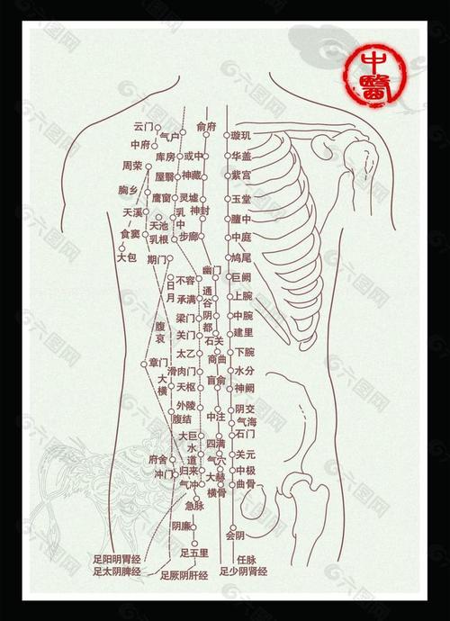 人体穴位经络图解说