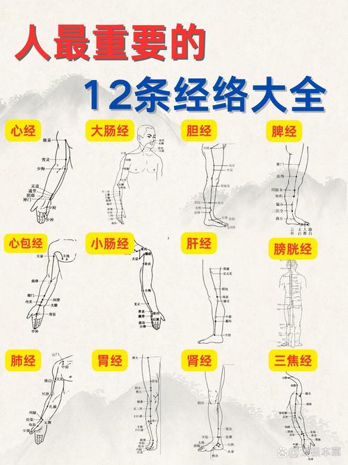 人体穴位经络图解说
