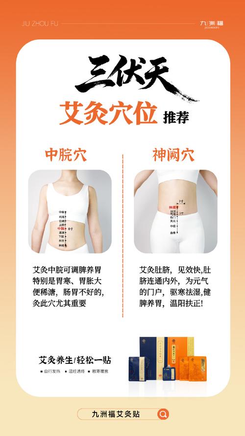 三九季节灸那些穴位