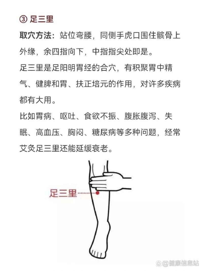 三九季节灸那些穴位