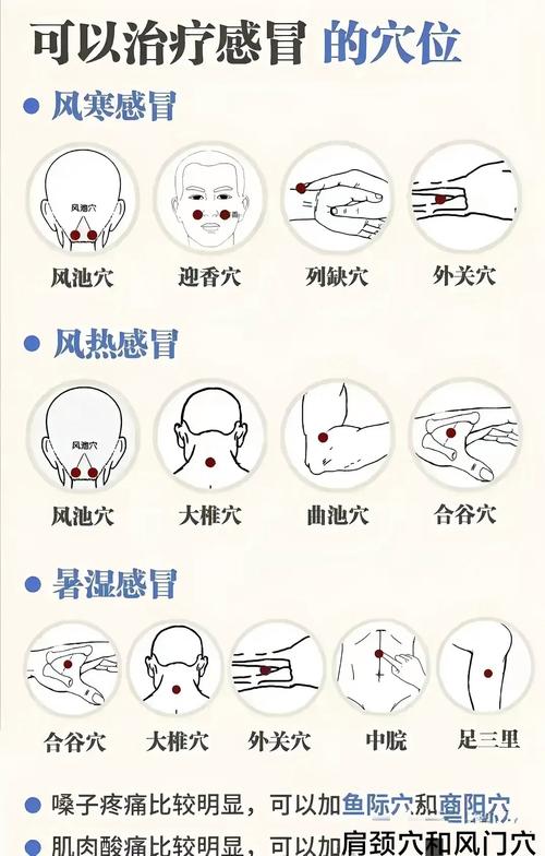 人体穴位按摩祛感冒